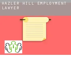 Hazler Hill  employment lawyer