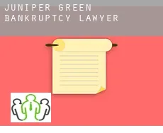 Juniper Green  bankruptcy lawyer