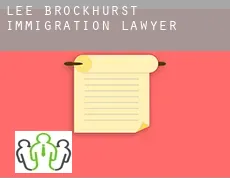 Lee Brockhurst  immigration lawyer