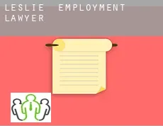 Leslie  employment lawyer