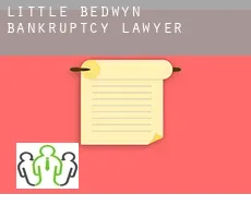 Little Bedwyn  bankruptcy lawyer