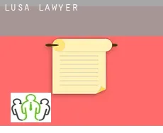 Lusa  lawyer