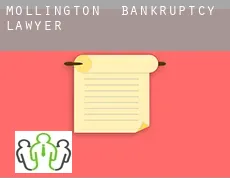 Mollington bankruptcy lawyer