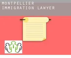 Montpellier  immigration lawyer