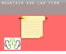 Mountain Ash  law firm