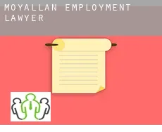 Moyallan  employment lawyer