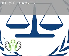 Birse lawyer