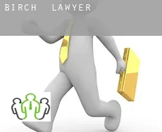 Birch  lawyer
