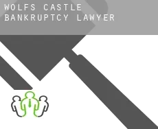 Wolf’s Castle  bankruptcy lawyer
