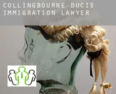 Collingbourne Ducis immigration lawyer