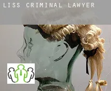 Liss  criminal lawyer