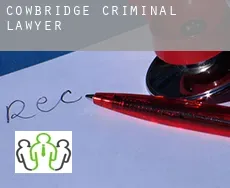 Cowbridge  criminal lawyer