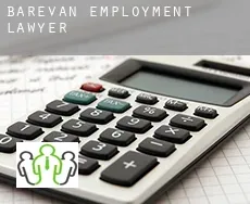 Barevan  employment lawyer