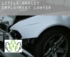 Little Oakley  employment lawyer
