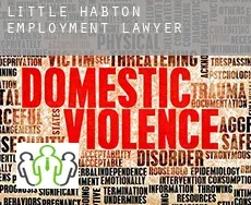 Little Habton  employment lawyer